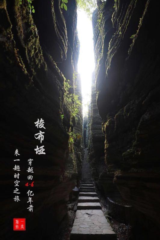 发现冷知识的脾胃虚弱该如何来调理?平台,你不可错过!